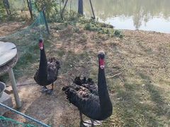 -华东政法大学(松江校区)