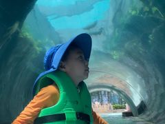 -新加坡水上探险乐园