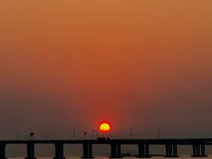 -宝安西湾红树林湿地公园