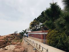 -青岛海底世界-水族馆