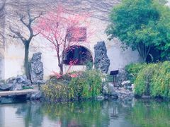 -艺圃