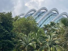 -新加坡飞禽公园