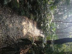 -蜀冈西峰生态公园