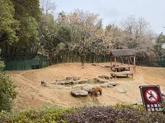 -茱萸湾风景区-售票处