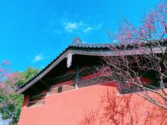 -广富林郊野公园