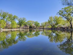 -北京园博大酒店