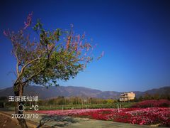 -抚仙湖禄充风景区