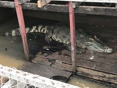 -洞里萨湖
