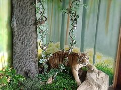 -西霞口神雕山野生动物世界