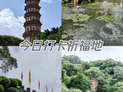 -广州莲花山旅游区