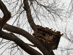 -北京西山国家森林公园