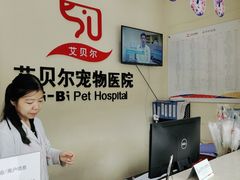 -艾贝尔宠物医院 ·内科全科(梁溪路店)