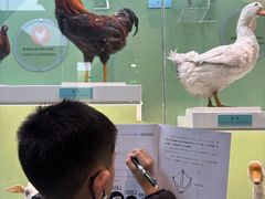 -国家自然博物馆