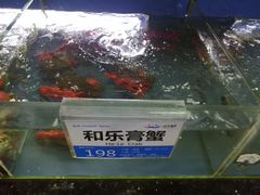 -欢乐海岸美食联盟