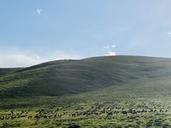 -祁连山草原