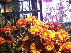 -胡桃里音乐餐厅(陶溪川店)(川湘赣菜·世界百大酒庄直供红酒·音乐表演)