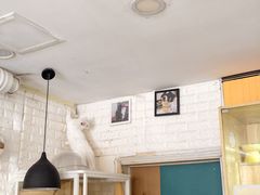 -平行世界·猫咖(首经贸店)