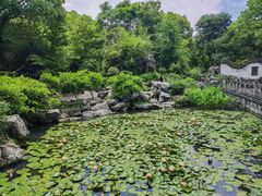 -西溪国家湿地公园