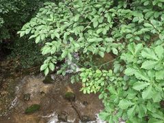 -丹东天桥沟景区