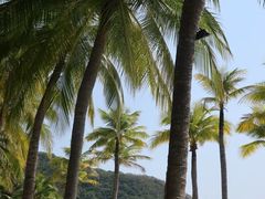 -日落吧·海景咖啡厅·餐酒吧·鸡尾酒·下午茶·乐队表演·浪漫夕阳·三亚文华东方酒店
