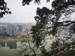 -鹅岭公园瞰胜楼