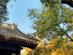 -北京国子监胡同