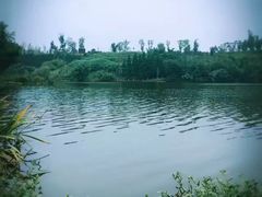 -白鹭湾湿地公园