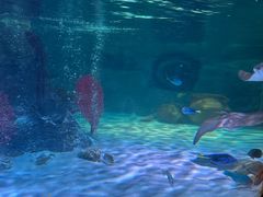 -沈阳海洋探索中心