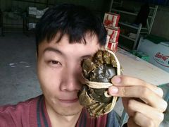 -喜洋洋蟹庄(阳澄湖店)