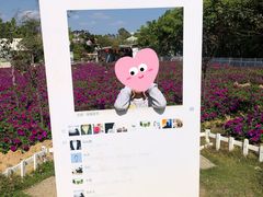 -广东花都香草世界旅游度假区