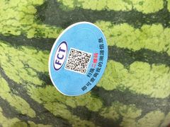 -上海龙吴水胜海发市场