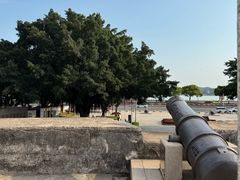 -石炮台公园
