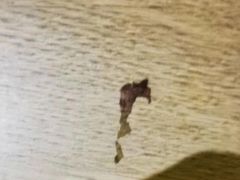 -无锡华怡明都大酒店