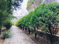 -浮来山风景区