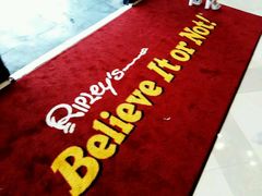 -信不信由你博物馆