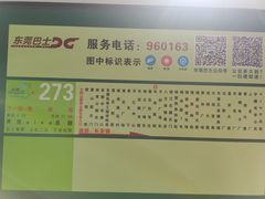 -东莞市大岭山森林公园