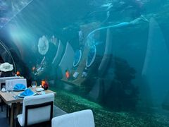 -海棠湾洲际-涛·海底餐厅·美人鱼·自助餐·海底隧道