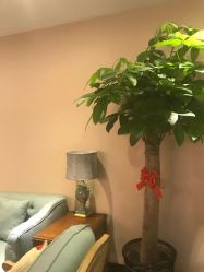 -唯伊美塑身美养连锁