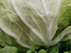 -龙福成肥牛火锅(文昌店)