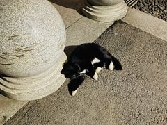 -雅达·阳羡溪山小镇中心