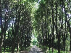 -浙东革命根据地纪念馆