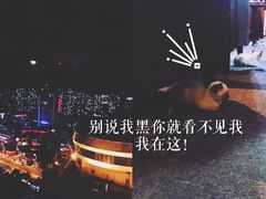 -喵店&猫咖