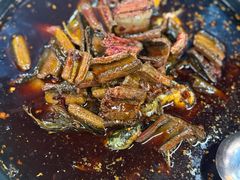 -金海椒罐罐鲢鱼(东方桂苑店)