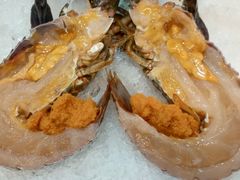 -喜聚薈·花膠雞海鮮火鍋(越秀店)