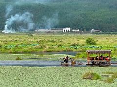 -腾冲北海湿地