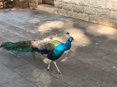 -昆明动物园