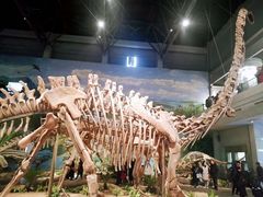-自贡恐龙博物馆