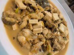 -煲来饱去冷水鱼