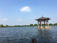 -白洋淀景区