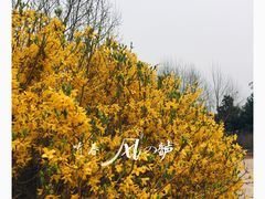-前关湿地公园